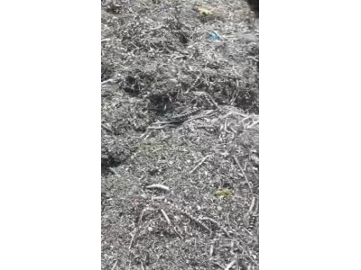 【福建】求购干净刨花，刨花压块，自提，挂单均可