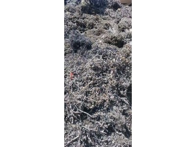 【广东】求购大量各类型废铁，大量收，货美价优，量大加价