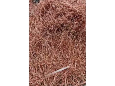 【湖北】求购大量光亮铜