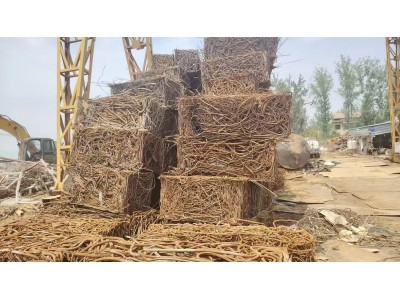 【山东莱芜】求购钢筋压块，需要几车次点的
